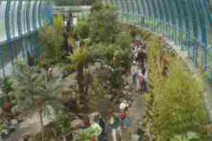 "Mouseclick" más - more - mehr FOTOS