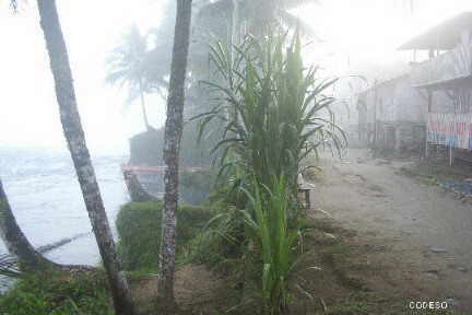 Playa de Oro por la madrugada
