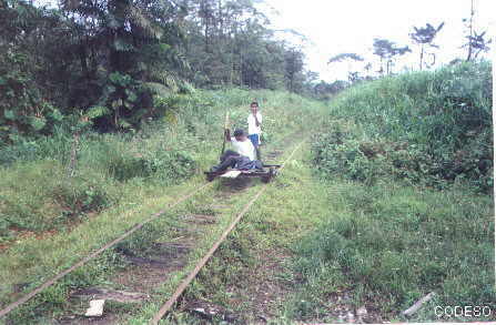 Photo Bajando a Alto Tambo con el trucker - Ventanas